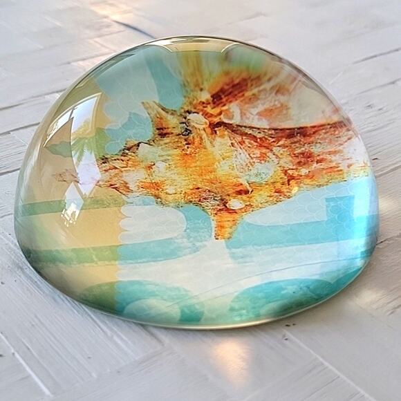 Seashell Ocean Paperweight Dome Glass Round No Chips or Cracks 4" - Picture 4 of 6